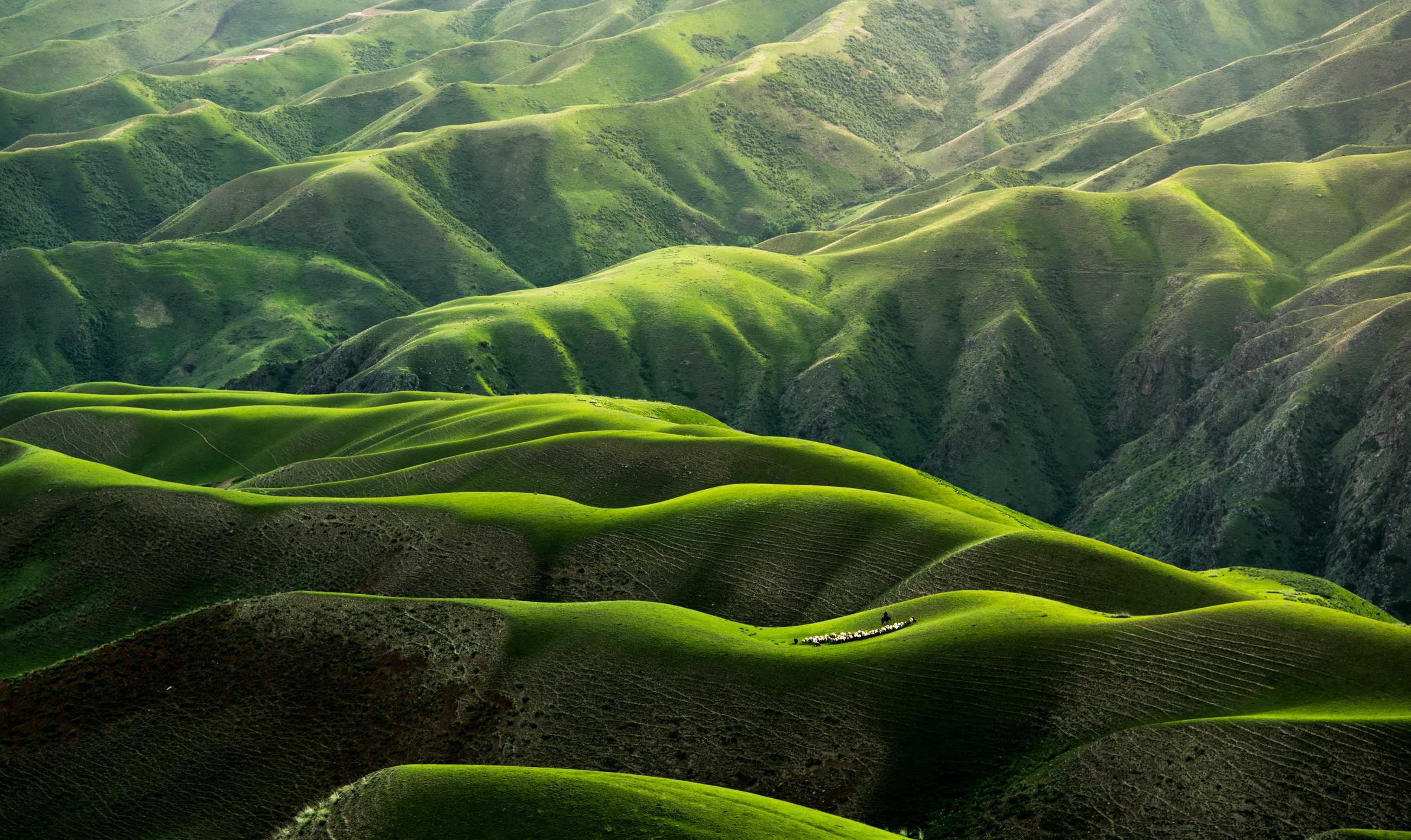 lush green hills